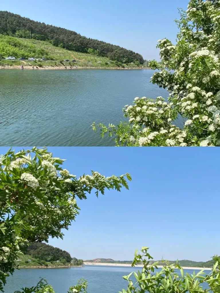 Anshan travel guide
Things to do in Anshan
Anshan attractions
Anshan itinerary
Qianshan National Park
Jade Buddha Palace
Tanggangzi