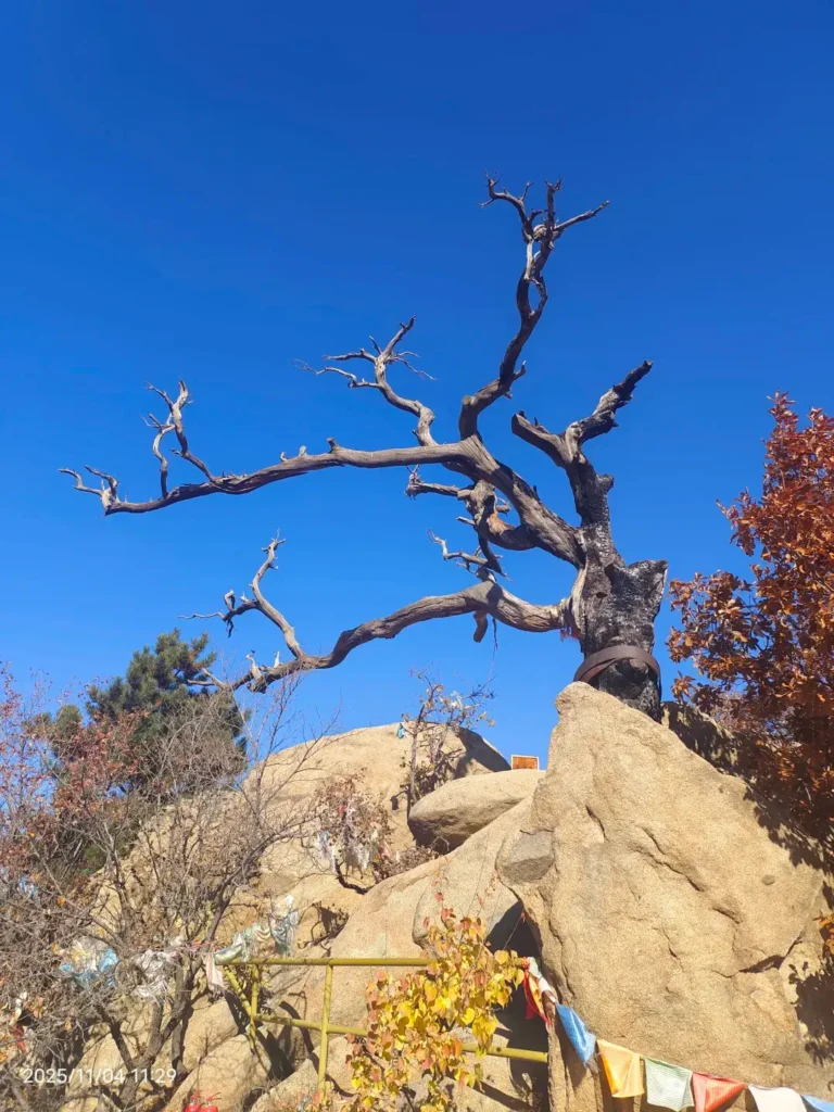 Hiking to see the cliff carvings is a core feature of this expedition.
Fuxin travel guide
Things to do in Fuxin
Fuxin attractions
Fuxin itinerary
Fuxin Agate
Haitang Mountain
Ruiying Temple