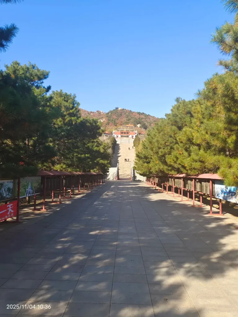 Hiking to see the cliff carvings is a core feature of this expedition.
Fuxin travel guide
Things to do in Fuxin
Fuxin attractions
Fuxin itinerary
Fuxin Agate
Haitang Mountain
Ruiying Temple