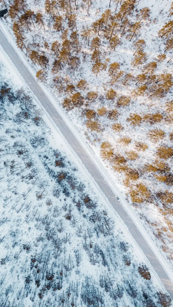 Heilongjiang travel guide
things to do in Heilongjiang
Heilongjiang itinerary
Harbin Ice and Snow World
Wudalianchi geopark
Sino-Russian border
Mohe Arctic Village
Zhalong Nature Reserve