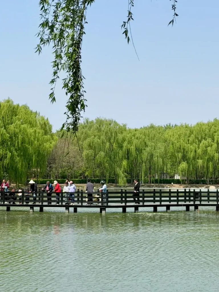Xiongyue Botanical Garden
Yingkou travel guide
Things to do in Yingkou
Yingkou attractions
Yingkou itinerary
Bayuquan
Hongxi Valley Hot Springs