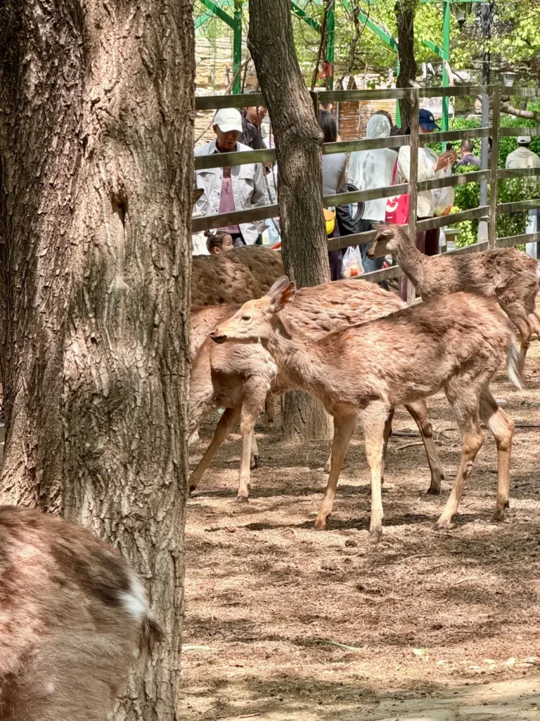 Xiongyue Botanical Garden
Yingkou travel guide
Things to do in Yingkou
Yingkou attractions
Yingkou itinerary
Bayuquan
Hongxi Valley Hot Springs