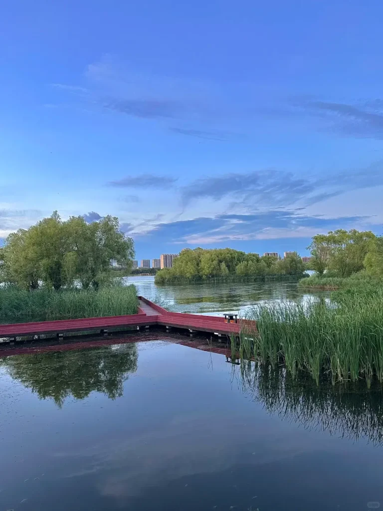 Baicheng travel guide
Things to do in Baicheng
Baicheng attractions
Baicheng itinerary
Momoge National Nature Reserve
Xianghai
Siberian Cranes
Chengsijiazi Ancient City