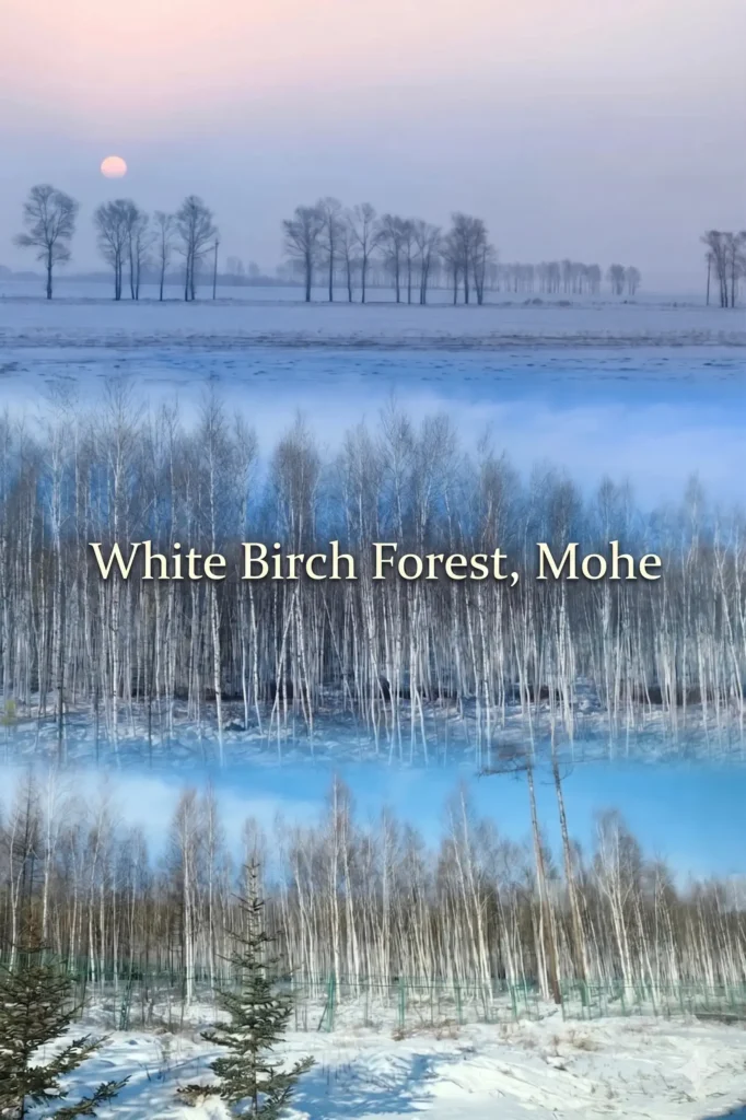 Heilongjiang travel guide
things to do in Heilongjiang
Heilongjiang itinerary
Harbin Ice and Snow World
Wudalianchi geopark
Sino-Russian border
Mohe Arctic Village
Zhalong Nature Reserve