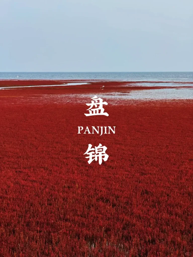 Visiting Panjin Red Beach is one of the top things to do in Liaoning.
Liaoning travel guide
Things to do in Liaoning
Liaoning attractions
Liaoning itinerary
Shenyang Imperial Palace
Panjin Red Beach
Dalian