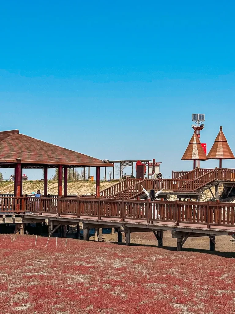 Visiting Panjin Red Beach is one of the top things to do in Panjin outlined in this Panjin travel guide.
Panjin travel guide
Things to do in Panjin
Panjin attractions
Panjin itinerary
Panjin Red Beach
Red Beach National ScenicCorridor