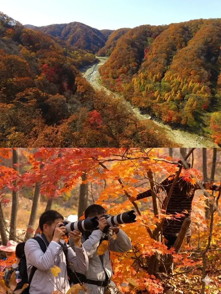 Experiencing the Red River Valley is a core feature of this comprehensive Fushun travel guide.
Fushun travel guide
Things to do in Fushun
Fushun attractions
Fushun itinerary
Hetu Ala City
Qing Dynasty origins
Lei Feng