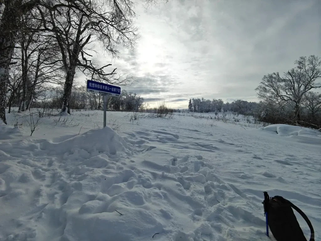 Heilongjiang travel guide
things to do in Heilongjiang
Heilongjiang itinerary
Harbin Ice and Snow World
Wudalianchi geopark
Sino-Russian border
Mohe Arctic Village
Zhalong Nature Reserve