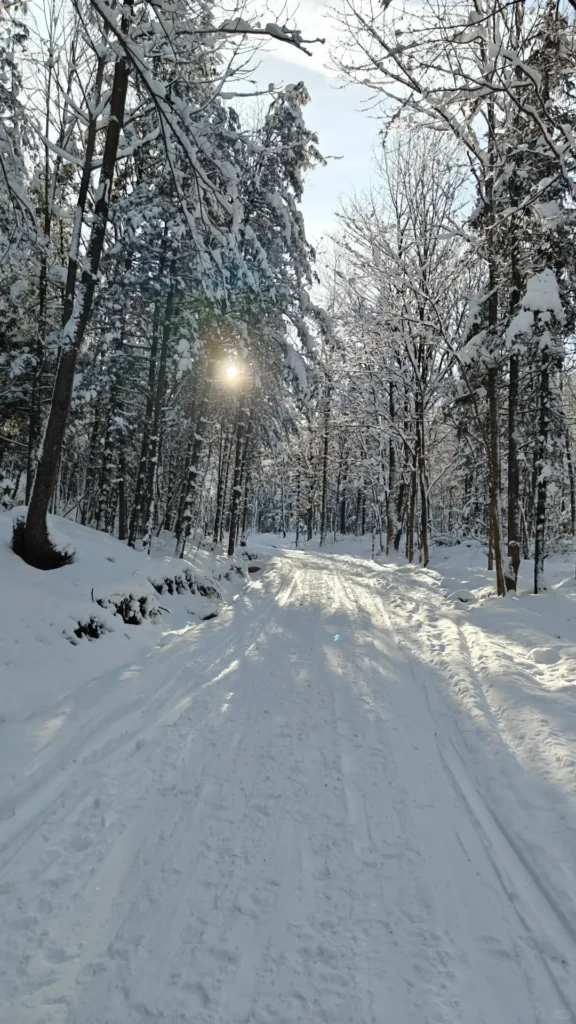 Heilongjiang travel guide
things to do in Heilongjiang
Heilongjiang itinerary
Harbin Ice and Snow World
Wudalianchi geopark
Sino-Russian border
Mohe Arctic Village
Zhalong Nature Reserve