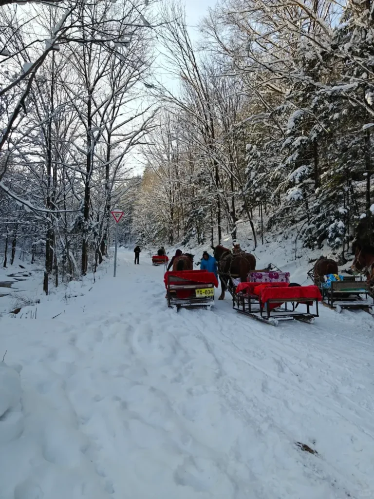 Heilongjiang travel guide
things to do in Heilongjiang
Heilongjiang itinerary
Harbin Ice and Snow World
Wudalianchi geopark
Sino-Russian border
Mohe Arctic Village
Zhalong Nature Reserve