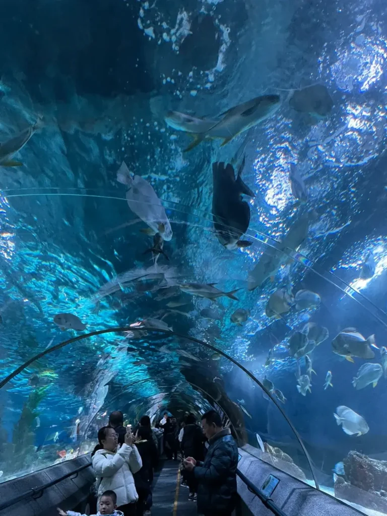 Liaoning travel guide
Things to do in Liaoning
Liaoning attractions
Liaoning itinerary
Shenyang Imperial Palace
Panjin Red Beach
Dalian
Tiger Beach Ocean Park