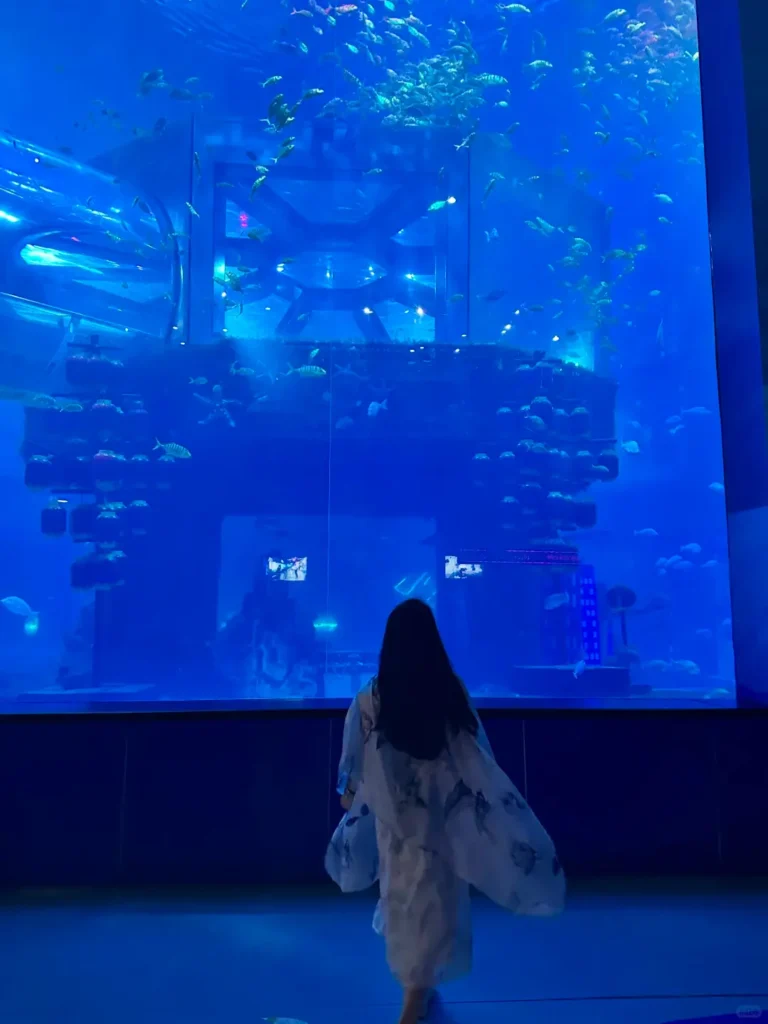 Liaoning travel guide
Things to do in Liaoning
Liaoning attractions
Liaoning itinerary
Shenyang Imperial Palace
Panjin Red Beach
Dalian
Tiger Beach Ocean Park
