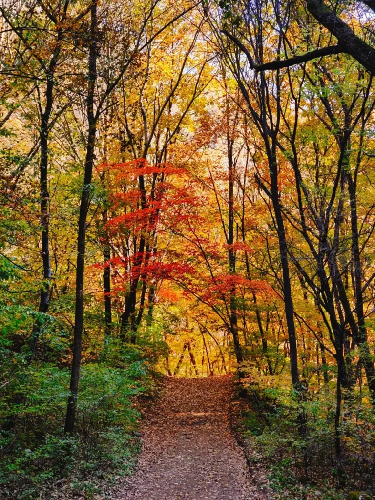 Benxi travel guide
Things to do in Benxi
Benxi attractions
Benxi itinerary
Benxi Water Caves
Guanmenshan
Maple leaves