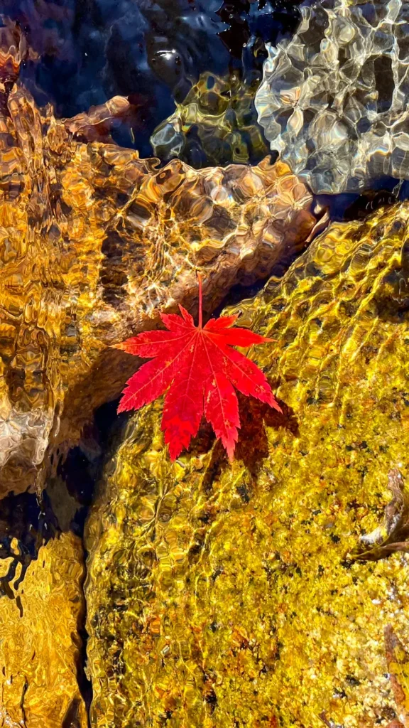 Benxi travel guide
Things to do in Benxi
Benxi attractions
Benxi itinerary
Benxi Water Caves
Guanmenshan
Maple leaves