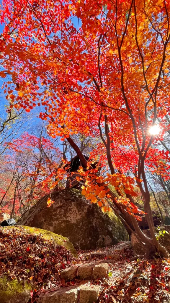 Benxi travel guide
Things to do in Benxi
Benxi attractions
Benxi itinerary
Benxi Water Caves
Guanmenshan
Maple leaves
