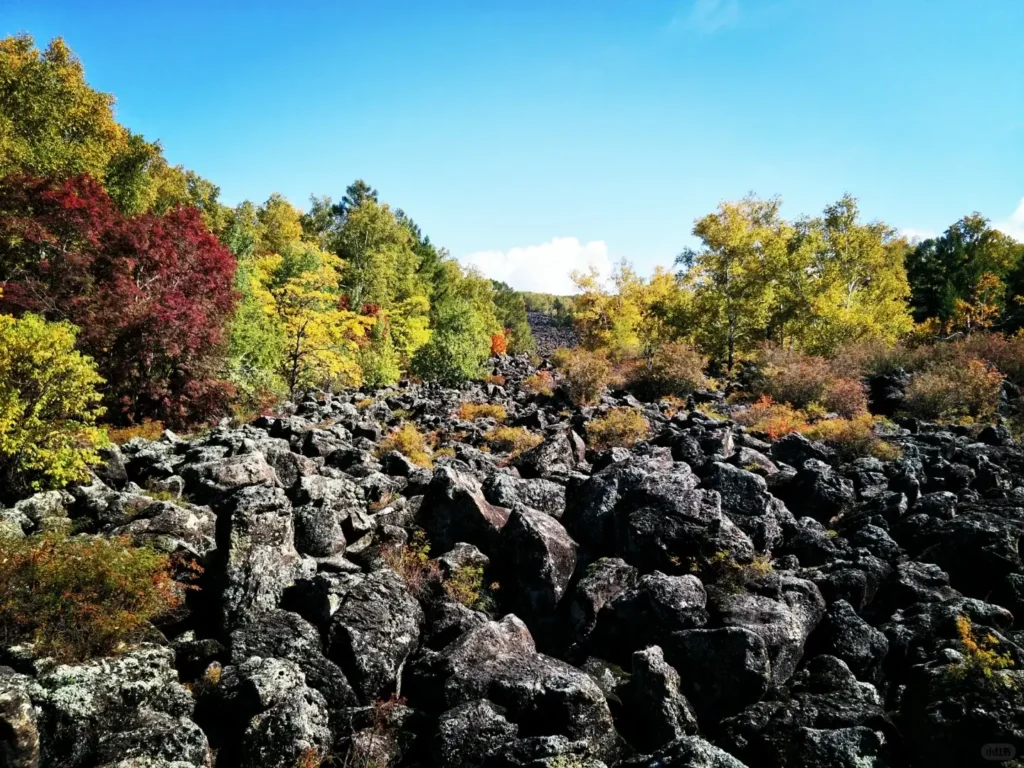 Heilongjiang travel guide
things to do in Heilongjiang
Heilongjiang itinerary
Harbin Ice and Snow World
Wudalianchi geopark
Sino-Russian border
Mohe Arctic Village
Zhalong Nature Reserve