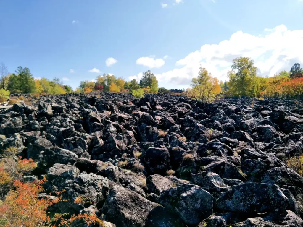 Heilongjiang travel guide
things to do in Heilongjiang
Heilongjiang itinerary
Harbin Ice and Snow World
Wudalianchi geopark
Sino-Russian border
Mohe Arctic Village
Zhalong Nature Reserve