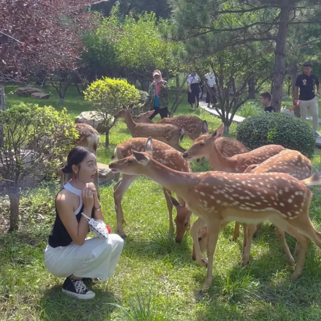 Tieling travel guide
Things to do in Tieling
Tieling attractions
Tieling itinerary
Xiangya Mountain
Diaobingshan Steam Locomotives
Northeast Folk Culture