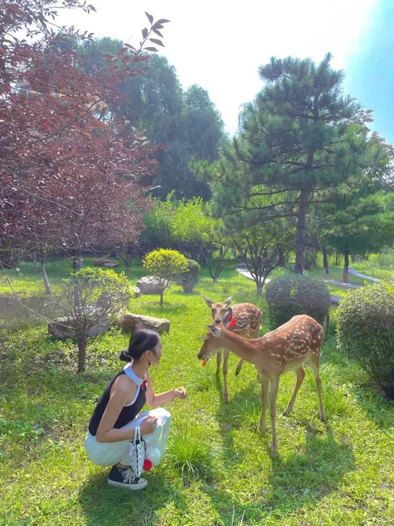 Tieling travel guide
Things to do in Tieling
Tieling attractions
Tieling itinerary
Xiangya Mountain
Diaobingshan Steam Locomotives
Northeast Folk Culture