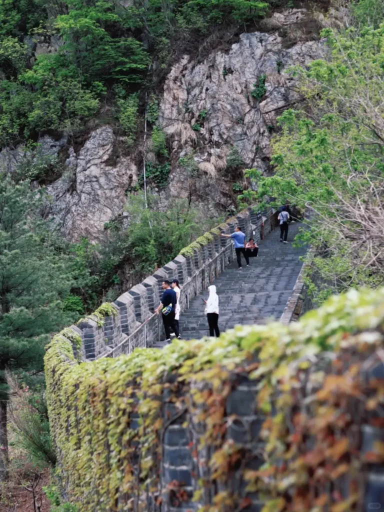 Climbing the Tiger Mountain Great Wall is a key part of any Dandong itinerary and a highlight in this expert Dandong travel guide.
Dandong travel guide
Things to do in Dandong
Dandong attractions
Dandong itinerary
Yalu River
Tiger Mountain Great Wall
North Korea border