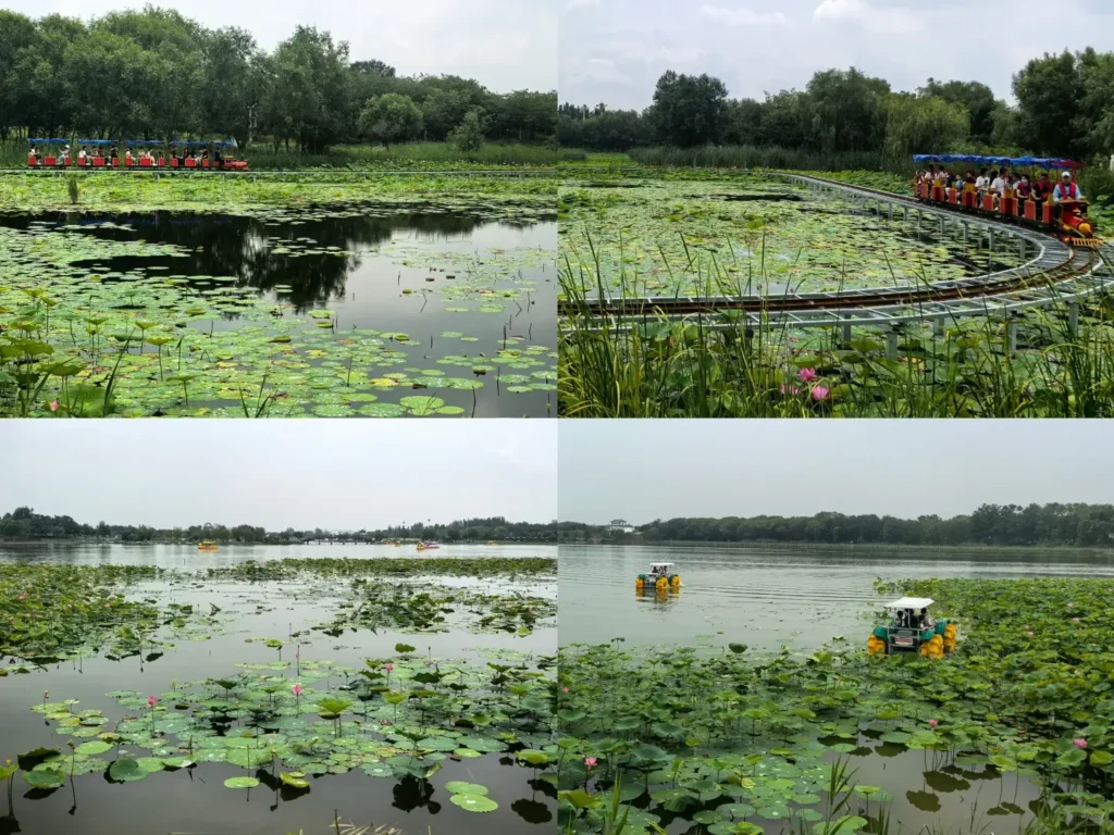 Bird watching at Hengshui Lake is one of the top things to do in Hengshui.
Hengshui travel guide
Things to do in Hengshui
Hengshui attractions
Hengshui itinerary
Hengshui Lake
Inside-painted snuff bottles