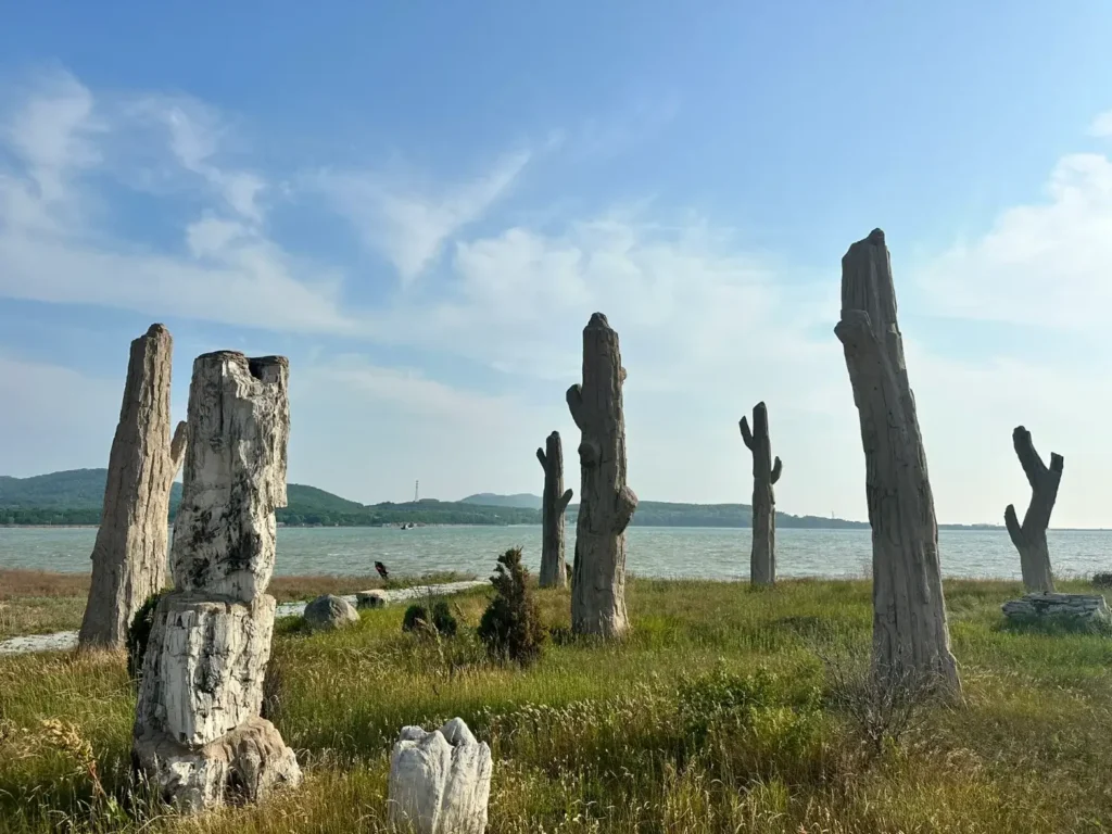 Exploring Juehua Island is a core feature of this comprehensive Huludao travel guide.