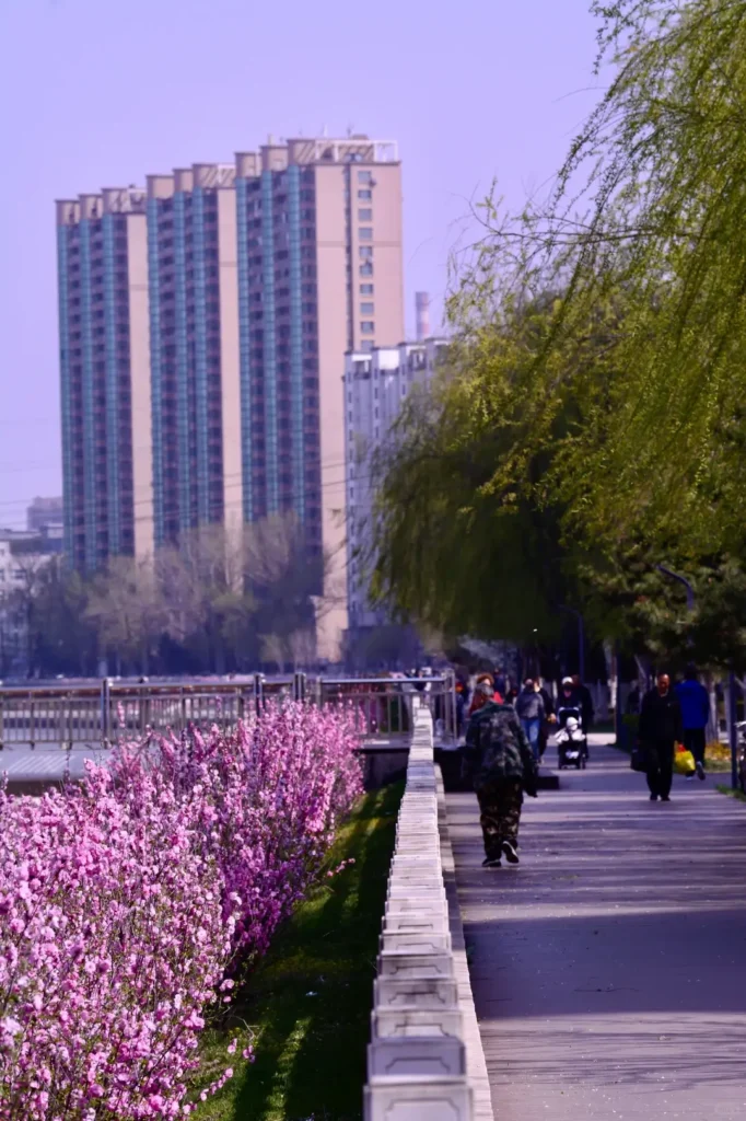 Wander the peaceful lakeshores to add natural beauty to your Liaoyuan travel guide experience.
Liaoyuan travel guide.
Liaoyuan travel guide
Things to do in Liaoyuan
Liaoyuan attractions
Liaoyuan itinerary
Sika Deer
Pipa Museum
Dongfeng Royal Deer Park
Longshou Mountain
