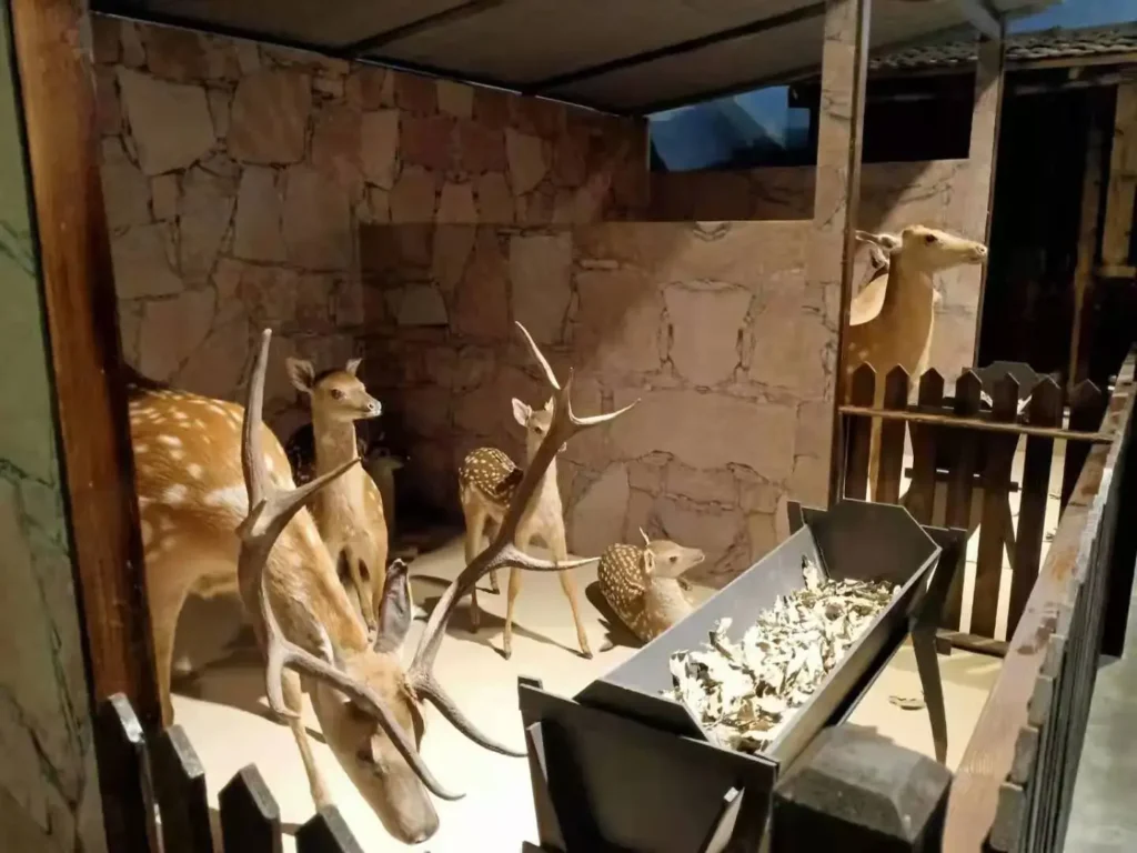 Liaoyuan travel guide.
Liaoyuan travel guide
Things to do in Liaoyuan
Liaoyuan attractions
Liaoyuan itinerary
Sika Deer
Pipa Museum
Dongfeng Royal Deer Park
Longshou Mountain