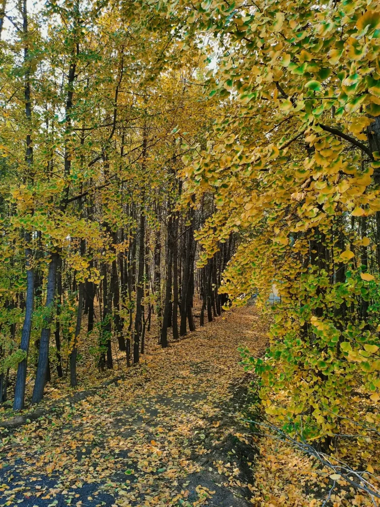 Xingtai travel guide
Things to do in Xingtai
Xingtai attractions
Xingtai itinerary
Xingtai Grand Canyon
Tianhe Mountain