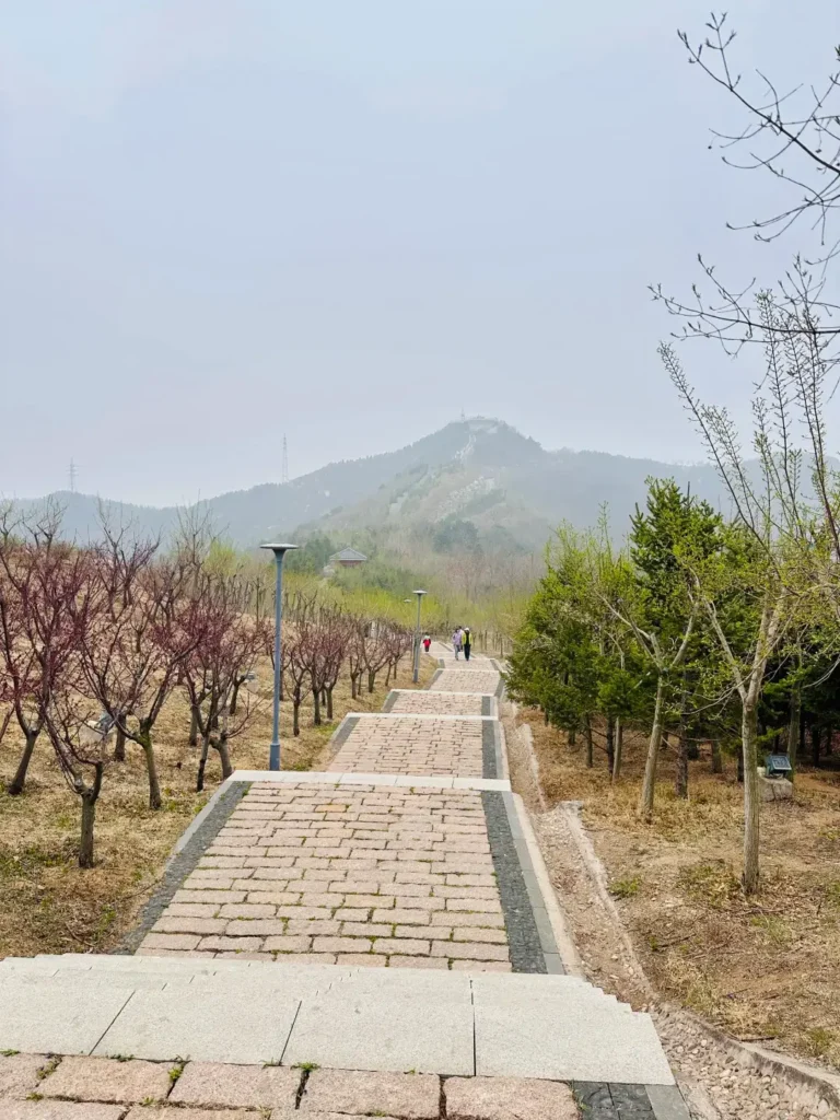 Jinzhou travel guide
Things to do in JJinzhou
Jinzhou attractions
Jinzhou itinerary
Bijia Mountain
Jinzhou Barbecue
Liaoshen Campaign