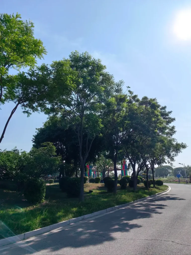 Jinzhou travel guide
Things to do in JJinzhou
Jinzhou attractions
Jinzhou itinerary
Bijia Mountain
Jinzhou Barbecue
Liaoshen Campaign