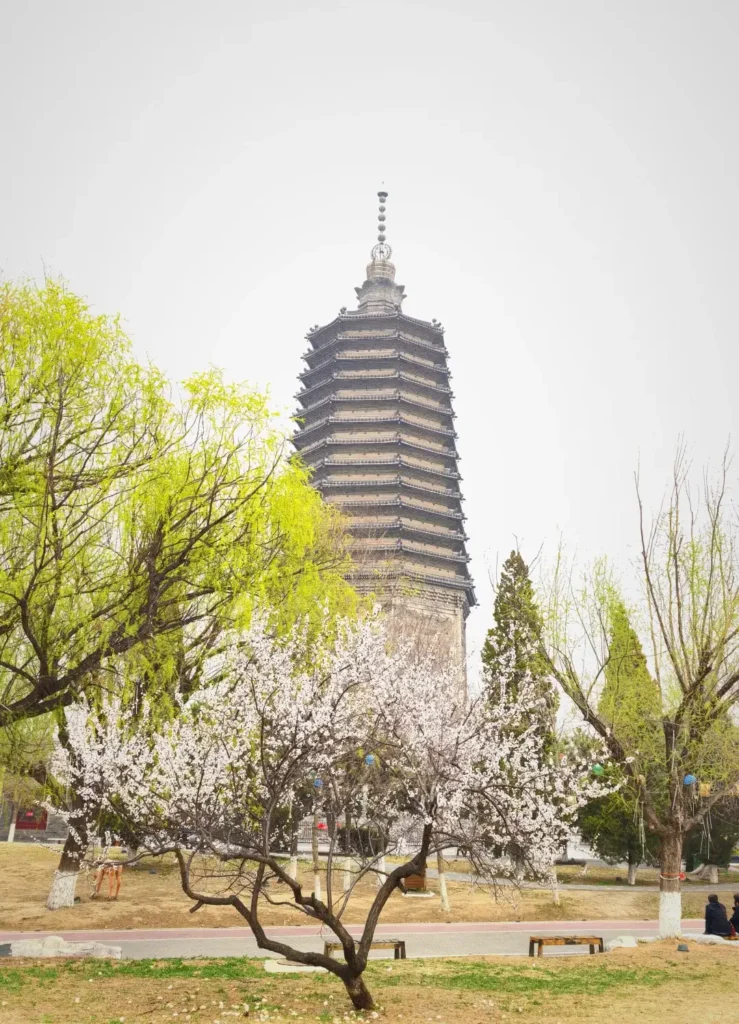 Jinzhou travel guide
Things to do in JJinzhou
Jinzhou attractions
Jinzhou itinerary
Bijia Mountain
Jinzhou Barbecue
Liaoshen Campaign