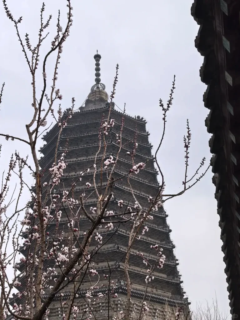 Jinzhou travel guide
Things to do in JJinzhou
Jinzhou attractions
Jinzhou itinerary
Bijia Mountain
Jinzhou Barbecue
Liaoshen Campaign