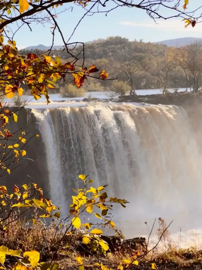 Mudanjiang travel guide
Things to do in Mudanjiang
Mudanjiang itinerary
Jingpo Lake
China Snow Town
Siberian Tiger Park