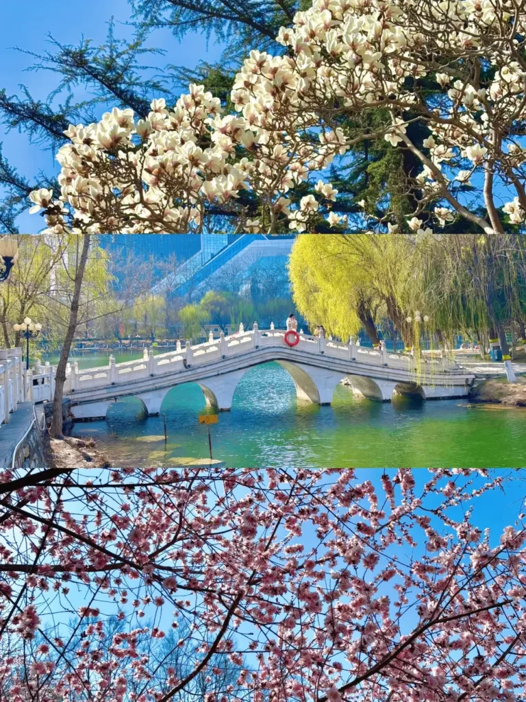 Shijiazhuang travel guide
Things to do in Shijiazhuang
Shijiazhuang attractions
Shjiazhuang itinerary
Zhengding Ancient City
Cangyan Mountain