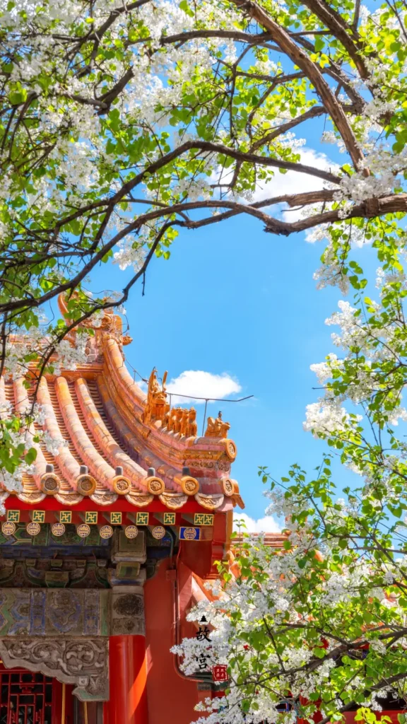 Visiting the Puppet Emperor's Palace is one of the top things to do in Changchun outlined in this Changchun travel guide.
Changchun travel guide
things to do in Changchun
Changchun itinerary
Puppet Emperor Palace
Changchun Film Studio
Manchukuo history
Jingyuetan National Forest Park