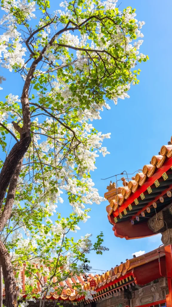 Exploring the Puppet Emperor's Palace is a key part of any Jilin itinerary and a highlight in this expert Jilin travel guide.
Jilin travel guide
Things to do in Jilin
Jilin attractions
Jilin itinerary
Changbai Mountain
Changchun