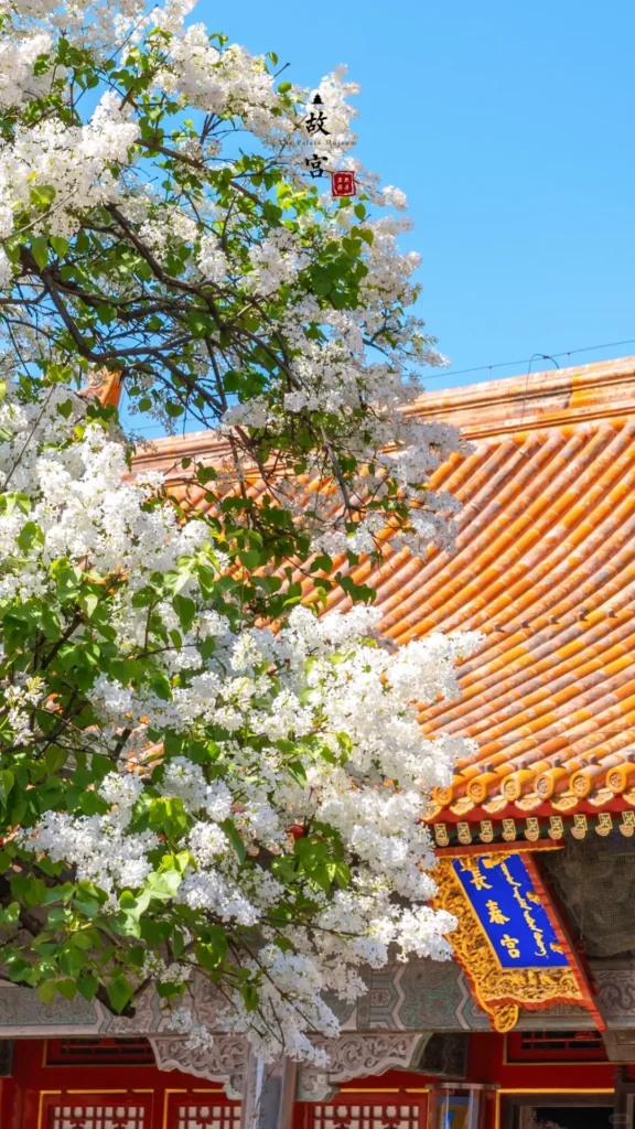 Exploring the Puppet Emperor's Palace is a key part of any Jilin itinerary and a highlight in this expert Jilin travel guide.
Jilin travel guide
Things to do in Jilin
Jilin attractions
Jilin itinerary
Changbai Mountain
Changchun
