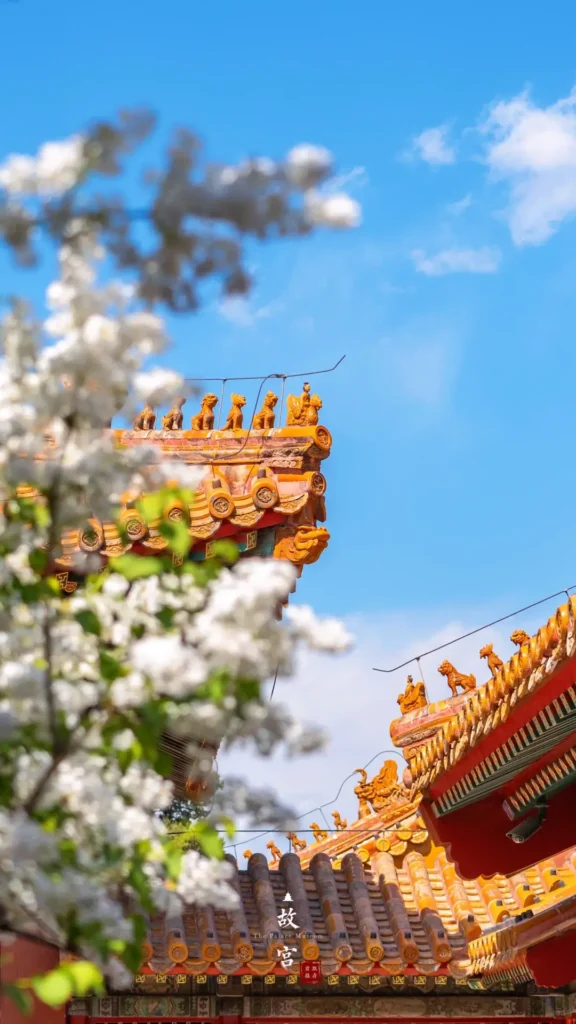 Visiting the Puppet Emperor's Palace is one of the top things to do in Changchun outlined in this Changchun travel guide.
Changchun travel guide
things to do in Changchun
Changchun itinerary
Puppet Emperor Palace
Changchun Film Studio
Manchukuo history
Jingyuetan National Forest Park