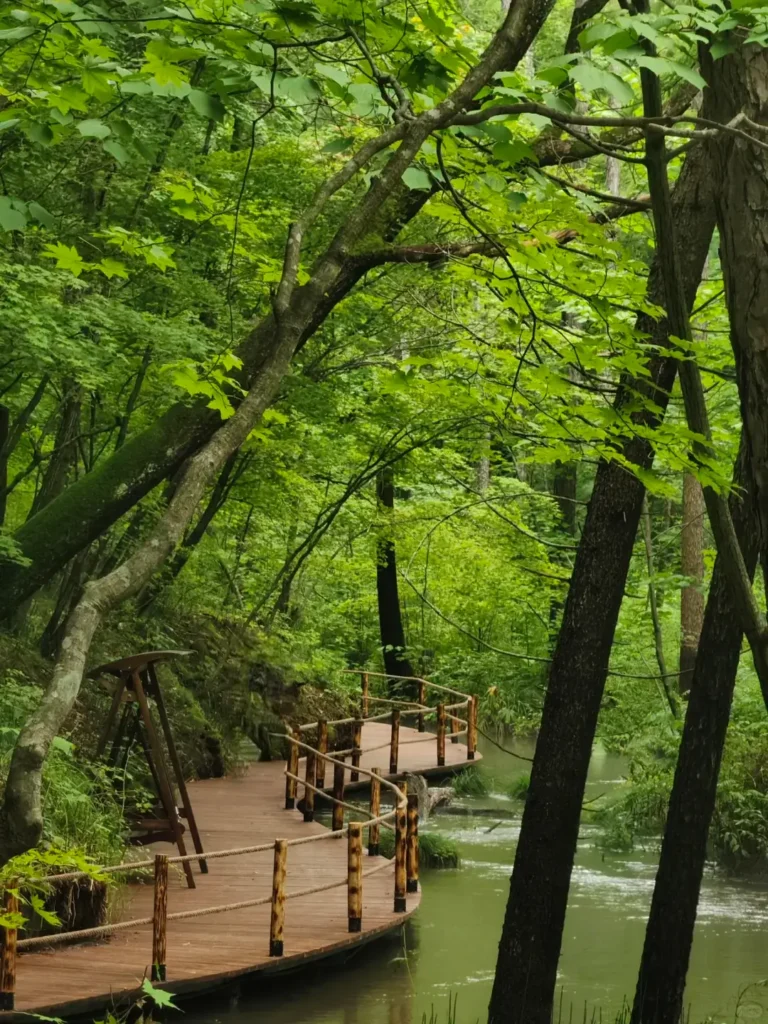 Baishan travel guide
things to do in Baishan
Baishan itinerary
Changbai Mountain hike
Tianchi Heavenly Lake
Lushuihe hot springs
Jilin primeval forest