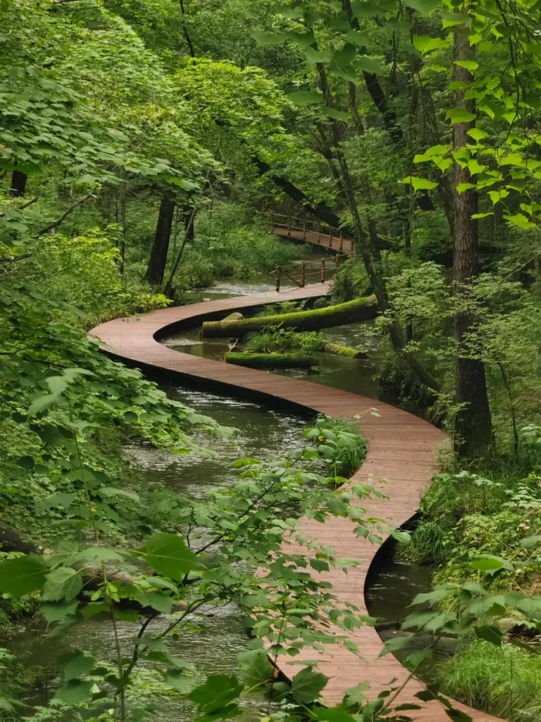 Baishan travel guide
things to do in Baishan
Baishan itinerary
Changbai Mountain hike
Tianchi Heavenly Lake
Lushuihe hot springs
Jilin primeval forest