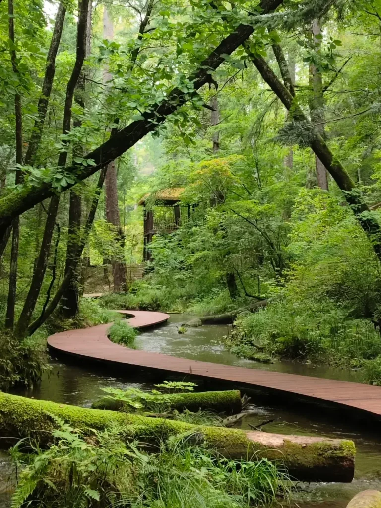 Baishan travel guide
things to do in Baishan
Baishan itinerary
Changbai Mountain hike
Tianchi Heavenly Lake
Lushuihe hot springs
Jilin primeval forest