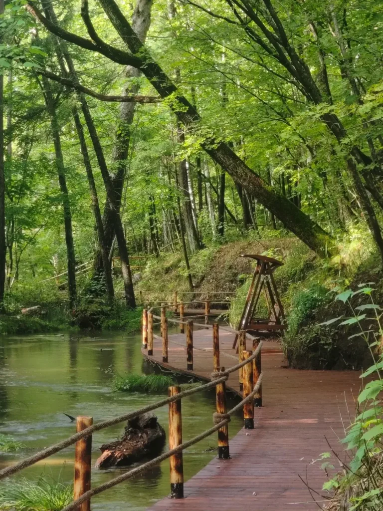Baishan travel guide
things to do in Baishan
Baishan itinerary
Changbai Mountain hike
Tianchi Heavenly Lake
Lushuihe hot springs
Jilin primeval forest