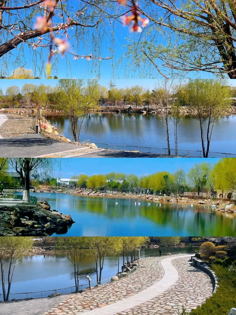Fuxin travel guide
Things to do in Fuxin
Fuxin attractions
Fuxin itinerary
Fuxin Agate
Haitang Mountain
Ruiying Temple