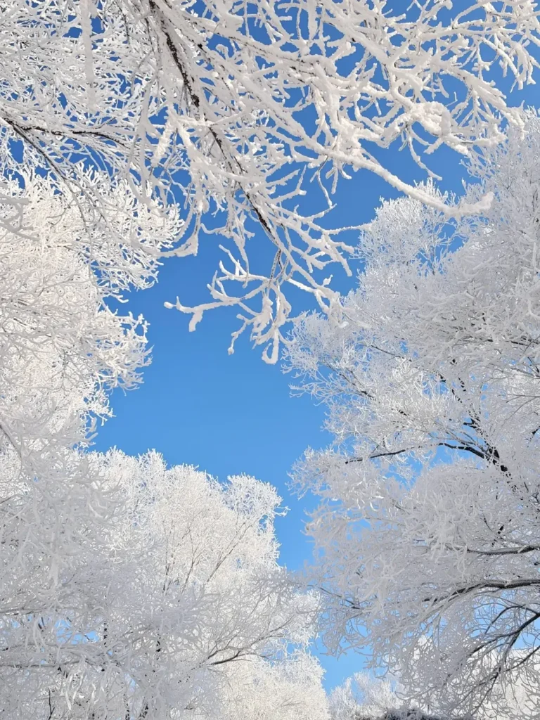 Jilin travel guide
Things to do in Jilin
Jilin attractions
Jilin itinerary
Changbai Mountain
Changchun
Wusong (Rime) Island