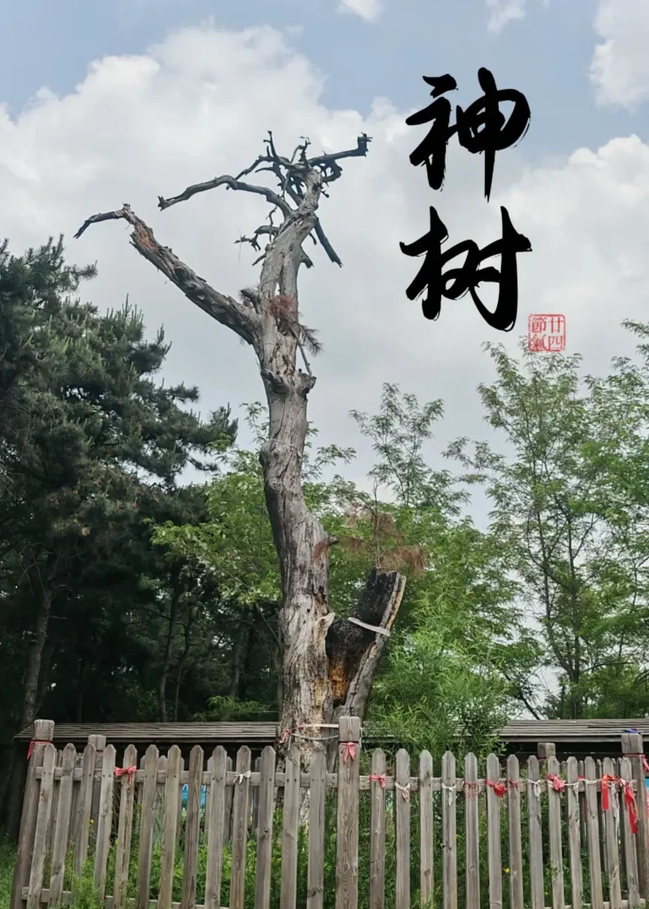 Fushun travel guide
Things to do in Fushun
Fushun attractions
Fushun itinerary
Hetu Ala City
Qing Dynasty origins
Lei Feng