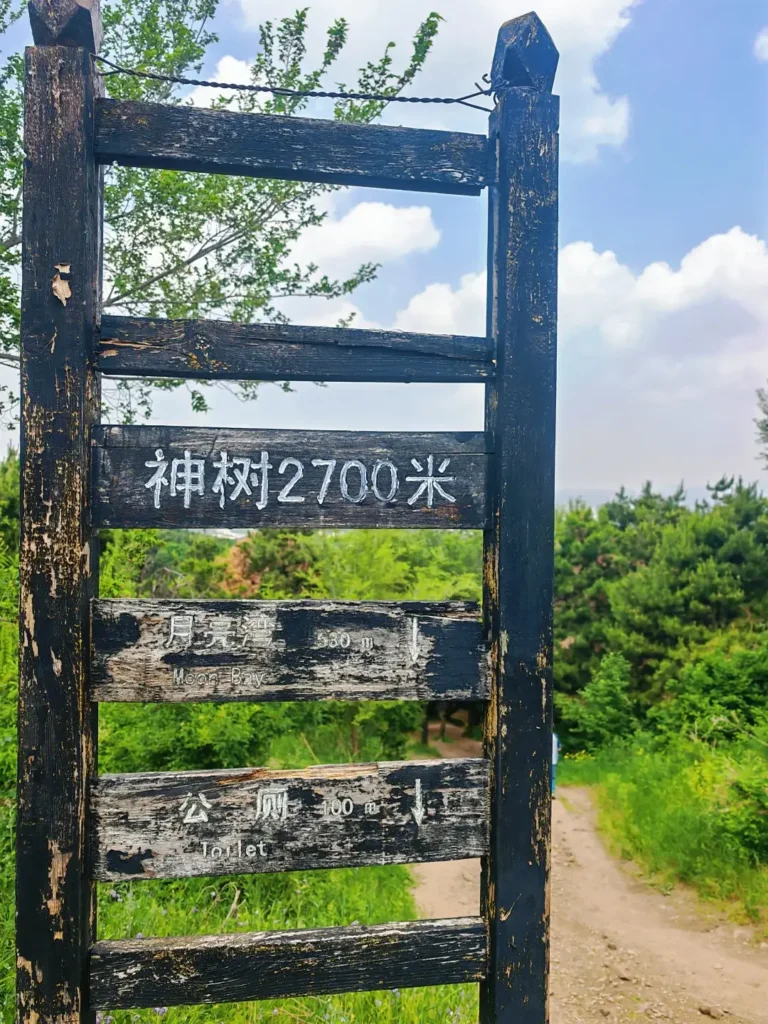 Fushun travel guide
Things to do in Fushun
Fushun attractions
Fushun itinerary
Hetu Ala City
Qing Dynasty origins
Lei Feng
