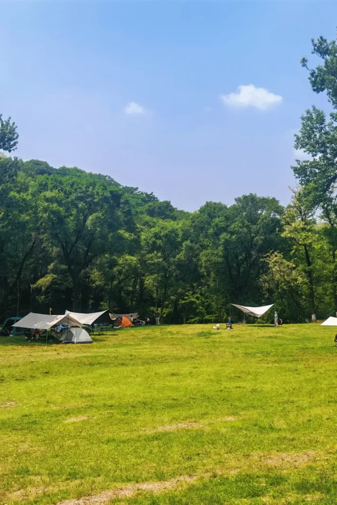 Fushun travel guide
Things to do in Fushun
Fushun attractions
Fushun itinerary
Hetu Ala City
Qing Dynasty origins
Lei Feng