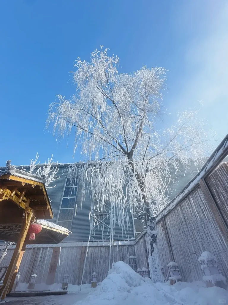 Relaxing in the steaming Lindian hot springs during a harsh winter, the absolute best leisure experience in your Daqing travel guide.
Daqing travel guide
Things to do in Daqing
Daqing itinerary
Iron Man Memorial
Lindian Hot Springs
Daqing Wetlands