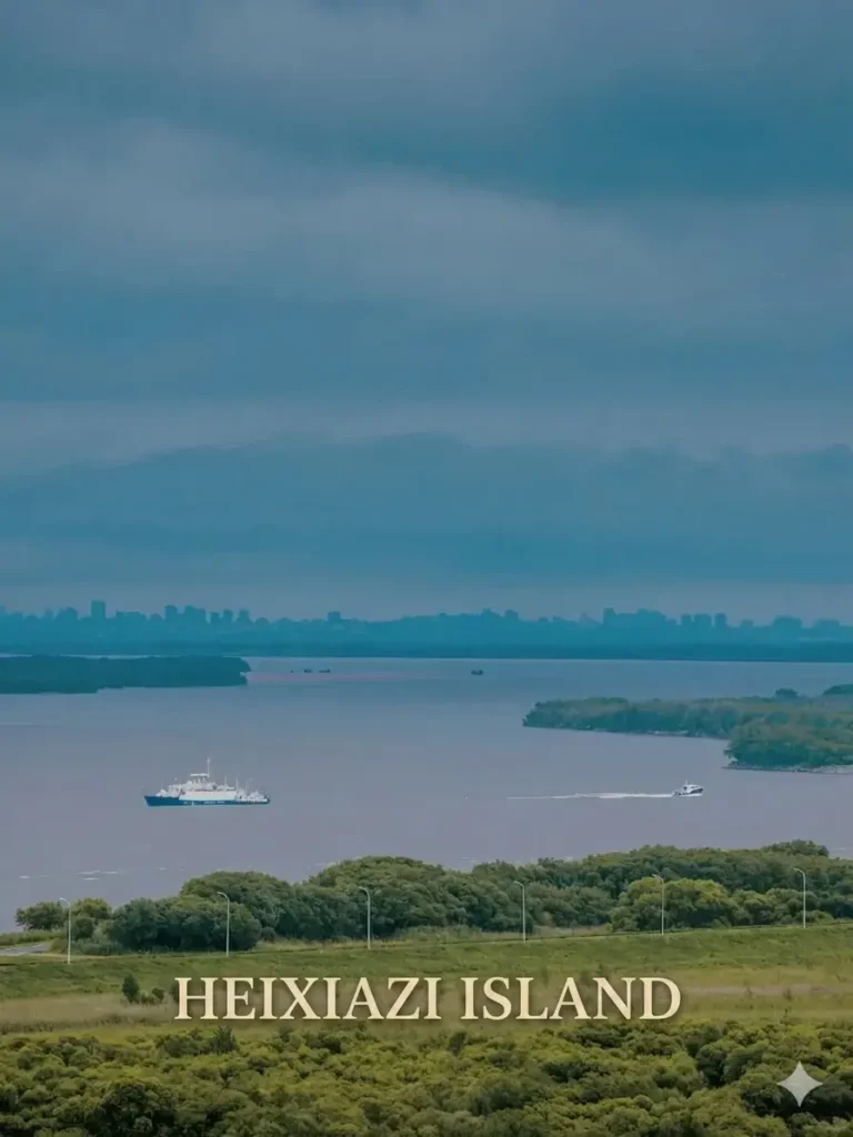 The historic Sino-Russian boundary marker surrounded by wetlands, a premier geopolitical destination included in our Jiamusi travel guide.
Jiamusi travel guide
Things to do in Jiamusi
Jiamusi itinerary
Heixiazi Island
Dongji Square
Sanjiang Wetlands